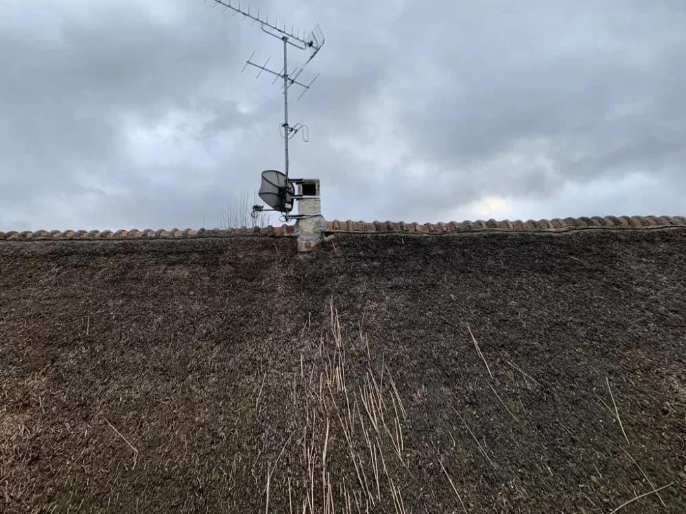 Nid de fouines dans une chaumière